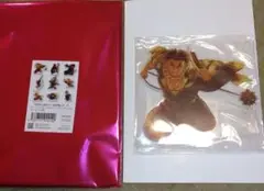 キービジュアルランダムアクリルスタンド　悲鳴嶼行冥