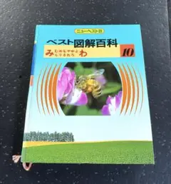 ベスト図鑑百科 10冊