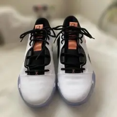 Item thumbnail for item b602805c-4f0e-495a-8b84-a748a19eb6d5