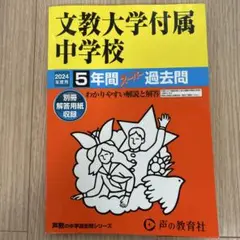 文教大学付属小学校 年度別過去問5年セット Amazon.co.jp: 文教大学付属中学校 2024年度用 5年間スーパー