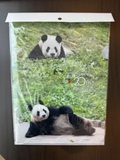 Item thumbnail for item b8a0e5c8-6aab-4cf8-b0f6-2bfb58328fad