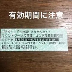 マウントジーンズ那須 ゴンドラ特別割引券