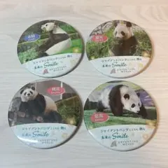 アドベンチャーワールド　パンダ家族　缶バッジ4種