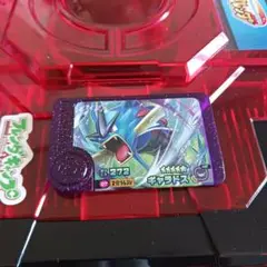 ポケモンフレンダ　ベストタッグ1弾　スーパートレジャー　ギャラドス