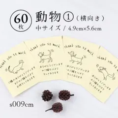 s009cm 動物①（横向き）サンキューカード（中）60枚