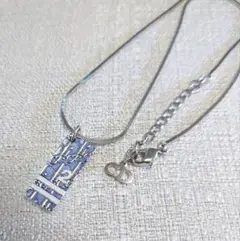 Dior ディオール トロッター ネックレス