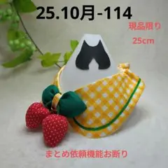 Item thumbnail for item 377931c9-5d32-4f0d-a8be-a0c2fafd8b8b