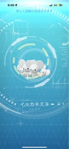 専用