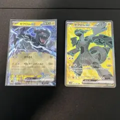 ゼクロムex SR