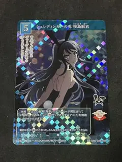 ビルディバイド 青春ブタ野郎 シュレディンガーの兎 桜島麻衣