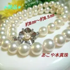 Item thumbnail for item 93268115-fd20-48fe-8374-4f9f4e09da0c