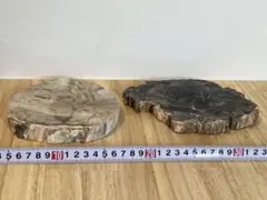 2個セット 珪化木　ペトリファイドウッド　プレート　原石