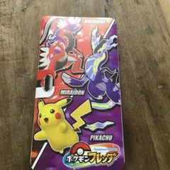 ポケモンフレンダ　収納ケース18枚