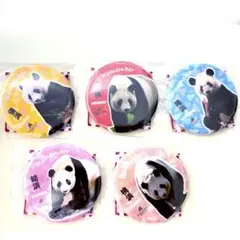 アドベンチャーワールド パンダファミリーNEW缶バッジガチャ