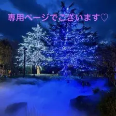 zoo様♡ご専用ページでございますꕤᴗˬᴗꕤ