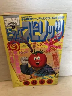 週刊ビッグスピリッツ 1994年7月号