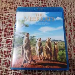 THE MEERKATS ブルーレイ