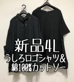 Item thumbnail for item b8b6a377-36bf-43c8-b0fd-9edba57557a2
