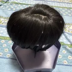部分ウィッグ