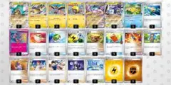 ポケモンカード　タケルライコデッキ