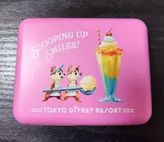 東京ディズニーリゾート サニーサニーサマー チップとデール キャンディ缶 新品✨