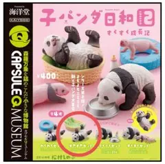 パンダ　フィギュア　子パンダ日和　海洋堂