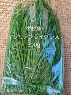 Item thumbnail for item 2a8edd5a-4326-4ba1-9199-db3c62280a01