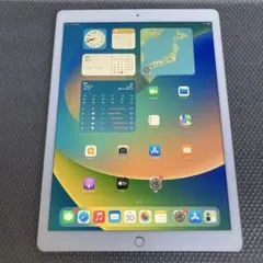 2408 電池新品☆iPad Pro 32GB 12.9インチ WIFIモデル