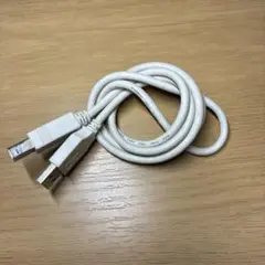 USB A to Bケーブル 約1.5m ホワイト　プリンタケーブル