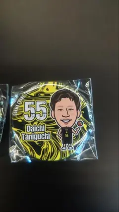 群馬クレインサンダーズ缶バッジ2つ
