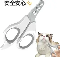 Item thumbnail for item 57fa9b91-28cd-4138-8320-8f87ae0ff58e