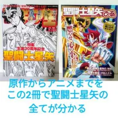 フィギュア王 No.220 完全永久保存版 全闘士名鑑 アニメ 聖闘士星矢 ぴあ