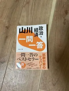 山川 政治・経済 一問一答
