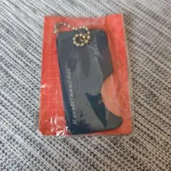 Item thumbnail for item db9f4996-0103-4214-ad4a-c7e4d0243c91