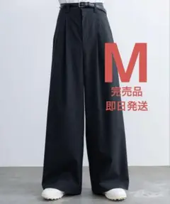 てる君愛用　SINSS ２タックワイドストレートストライプスラックス