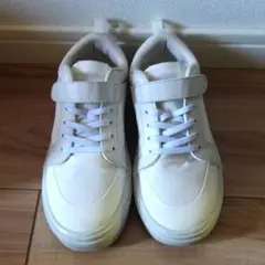 VANS ヴァンズ JETT ジェット V3948K RBT　21cm