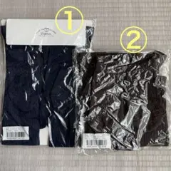 Item thumbnail for item 26a31882-8831-4f5f-bd73-fe7ae16790c0