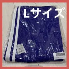 Item thumbnail for item e4c272ff-ae92-4e2c-80a6-33a044f434aa