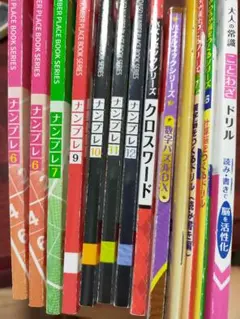 ナンプレなど