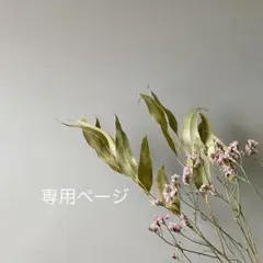 カピ バラ様 .。.:*
