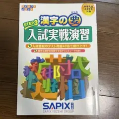 STEP3 漢字の要 入試実戦演習