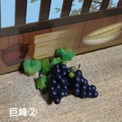 ミニチュアフード 巨峰②