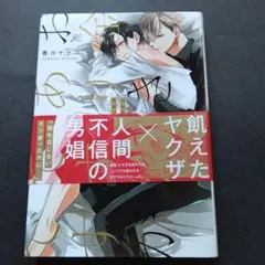 お金ありきの関係ですが 2巻 特典付き