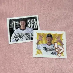 オリックスバファローズ　ステッカーセット　頓宮 大里