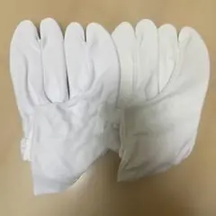 Item thumbnail for item fb33ada0-6b3c-481a-846e-e7e46fb47b6b