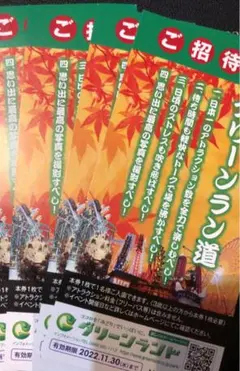 熊本遊園地グリーンランド入場券