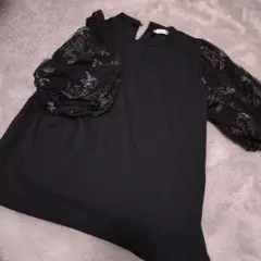 Item thumbnail for item a8c443be-20cf-4dbf-900f-1e086de79f13