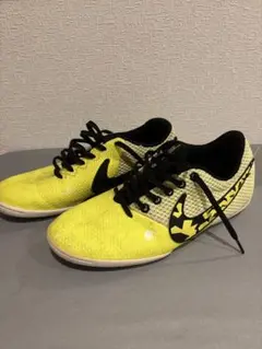 NIKE エラスティコ プロ 3 IC