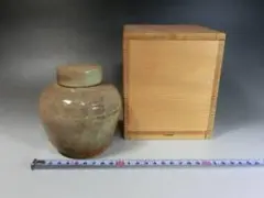 Item thumbnail for item 1a5e4934-4e48-42f6-996f-b6381456d97b