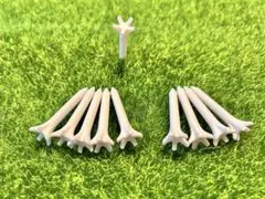 ショートティーホワイト